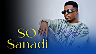 Umar M Shareef  So Sanadi  Official Video 2024 [upl. by Ytsihc43]