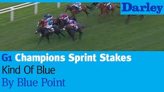 Kind Of Blue by Blue Point wins the G1 Champions Sprint Stakes at Ascot [upl. by Airdnaed313]