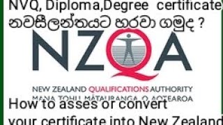 New Zealand Qualifications AssessmentLife in New Zealand සිංහල [upl. by Lenssen]