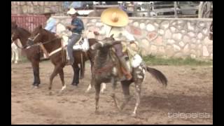 11  Lo Mejor de los Coleaderos  El Montecillo Jerez Zacatecas [upl. by Yhtorod731]