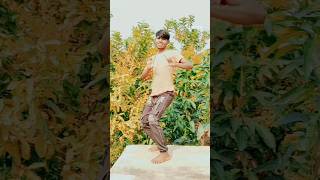 सुनर लईकी Official Video  Arvind Akela Kallu Shilpi Raj  Queen Shalinee  Bhojpuri New Song [upl. by Sokcin]