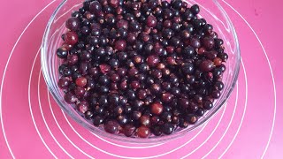 Leckere Marmelade aus Johannisbeeren [upl. by Nnylecoj]