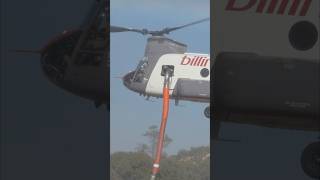 🔥Chinook dropping in for some water helicopter chinookhelicopter chinook wildfire firesafety [upl. by Diraf]