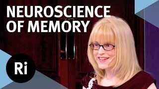 The Neuroscience of Memory  Eleanor Maguire [upl. by Duck]