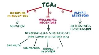 Tricyclic Antidepressants pharmacology 🔥OSMOSISFull mechanism side effects selflessmedicose [upl. by Meesaw300]