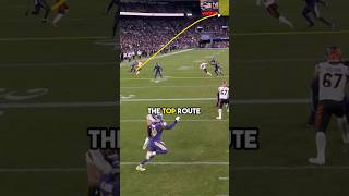 Football Play Breakdown Touchdown Unveiled [upl. by Perrins]