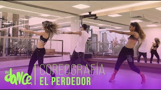 El Perdedor  Maluma  Coreografía  FitDance Life [upl. by Enaid148]