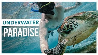 🇮🇩 INSANE Subwinging amp Snorkeling in Gili Meno Island Vlog Underwater Paradise [upl. by Corb]