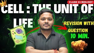 CELL  THE UNIT OF LIFE  CLASS 11 BIOLOGY DPP QUESTIONS  CBSE amp NEET  UNFILTERED CLASSES [upl. by Hilton]