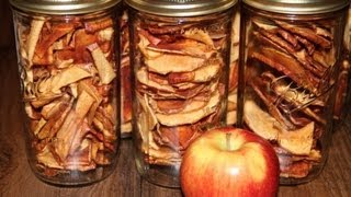 Dehydrated Apple Chips Better Than Store Bought [upl. by Airdnahs]