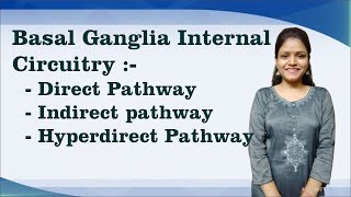 Basal Ganglia Internal Circuitry Direct Indirect amp Hyperdirect Pathway I Neurophysiology [upl. by Ateekan]