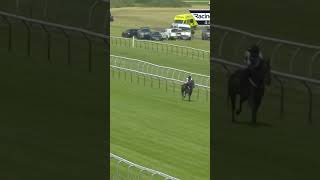 Horseamp rider leave rivals toiling horse horseracing racingtv sport britishhorseracing [upl. by Areid]