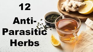 12 Powerful AntiParasitic Herbs for Gut Health [upl. by Airretal]