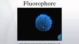 Fluorophore [upl. by Buatti]