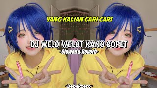 Dj Welot Welot Kang Copet  Slowed amp Reverb [upl. by Zat]