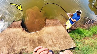 300 LB MONSTER in a STORM DRAIN [upl. by Salene]