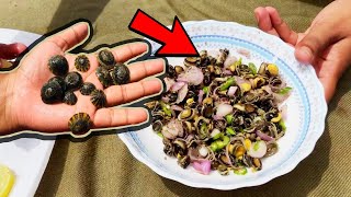 Limpet Mollusk Salad  Simple and Easy Sea Food Making on Beach [upl. by Spiro]