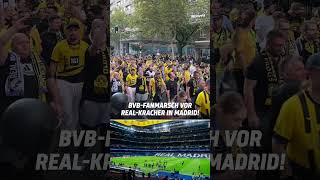 Die BVBFans stimmen sich in Madrid schon ordentlich ein 🔥 shorts [upl. by Ayikahs920]