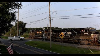 Viola Delaware Delmarva Central Railroad Live RailCam [upl. by Tawney]