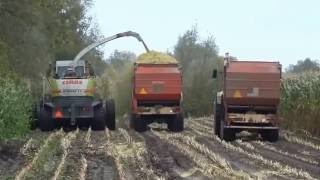 Invention 2016  Tracteurs et Camions Dans la Boue  2 Accidents Véhicules Lourds [upl. by Hartman]