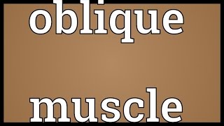 Oblique muscle Meaning [upl. by Aylward]