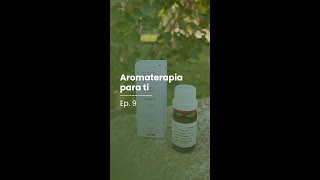 Aromaterapia Para T1 Ep 9  Óleo Essencial Cravo da Índia [upl. by Hoeve215]