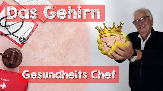 Das Gehirn 🧠 Der Chef Ihrer Gesundheit 👑 Wie das Nervensystem Einfluss auf die Gesundheit nimmt [upl. by Capone]