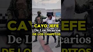 JEFE DE SICARIOS DE LOS CHAPITOS ES ARRESTADO EN CULIACÁN mexico narcos culiacan shorts facts [upl. by Lucey445]