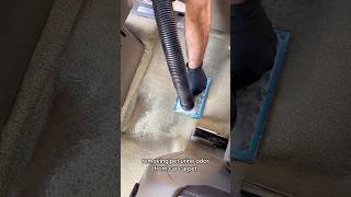 Pet smell removal and cleaned from carpet car [upl. by Enined]