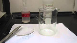 Reaction of Sodium with tertButanol 003 [upl. by Aehtela]