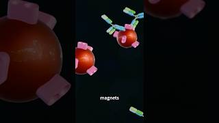 Revolutionize Diagnostics Magnetic Particles for High Sensitivity CLIA nanotechnology diagnostics [upl. by Aicnilav409]