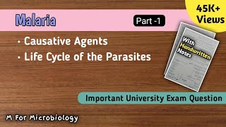 Malaria  Part 1 Causative agents of malaria  Life cycle of parasite in human [upl. by Nahrut932]