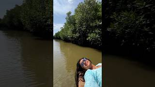 A trip to mangrove forest bingelife travel [upl. by Battiste]