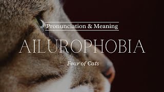 How to Pronounce Ailurophobia  British Pronunciation amp Meaning [upl. by Aluor]