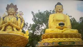 Buddha park nepal katmandu October 3 2024 [upl. by Wasson]