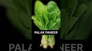 Palak Paneer Recipe  Easy and Healthy Indian Dish [upl. by Deevan]