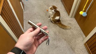 All to Know About Waputne Cat Toy Laser Pointer [upl. by Lenzi]