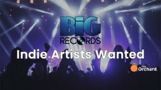 BIG RECORDS  Indie Artists Wanted [upl. by Lleuqar]