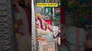 aaj ke darshan vrindavan vrindavn vrindavandham radhavallabh radhakrishna [upl. by Lamdin504]