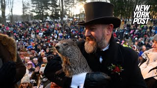 LIVE PA Groundhog Day  Punxsutawney Phil gives 2024 winter prediction  New York Post [upl. by Rehpotsrhc]