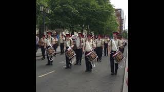 Blues and Royals Sydenham  12th July Celebrations Belfast 2024 [upl. by Jabez]