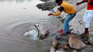 daily village life fishing  village Fishing  India UP [upl. by Leahcam]