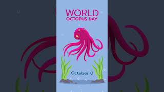 World Octopus Day 2024 octopus [upl. by Midas]