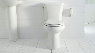 What is a Dual Flush Toilet  Modern Water Saving Toilets [upl. by Raimondo]