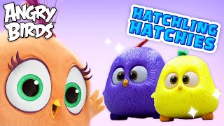 Angry Birds  Hatchling Hatchies Friendship 💓 [upl. by Nnylaj]