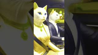 Cute cat new video 2024 shorts meckup song cat music [upl. by Oterol447]