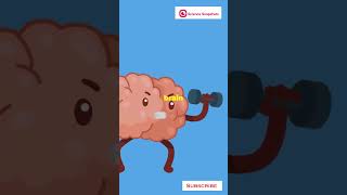 Mind blowing facts about human brain [upl. by Levine]