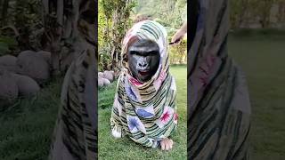 Bachho ki short video ।। acting ।।ohh no [upl. by Iznekcam]