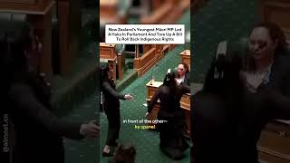 New Zealand’s Māori MP Led A Haka In Parliament And Tore Up A Bill To Roll Back Indigenous Rights [upl. by Horatius]