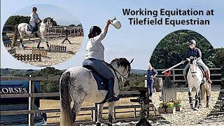 Working Equitation at Tilefield Equestrian [upl. by Davena256]